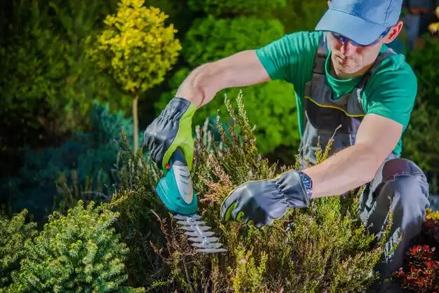 landscaping services Fort Montgomery